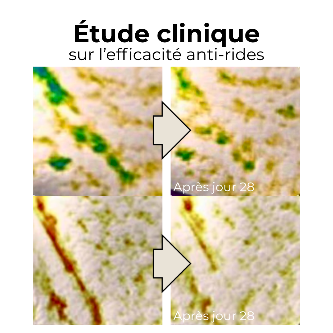 DFrau - Capsule Sérum Peptides Collagène