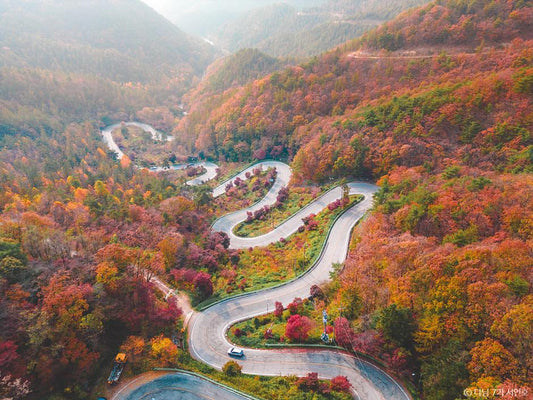 Quelle est la meilleure période pour visiter la Corée ?